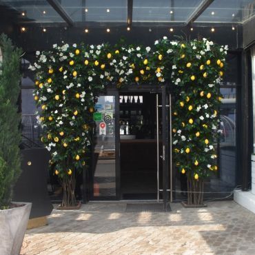 Moremi лето | Санкт-Петербург